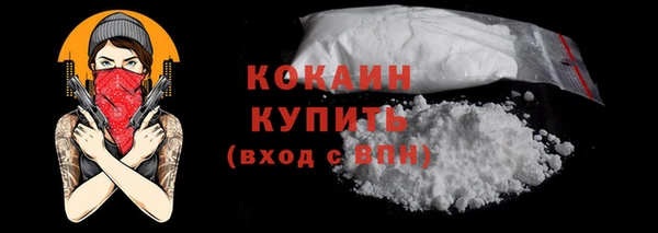 мет Новозыбков