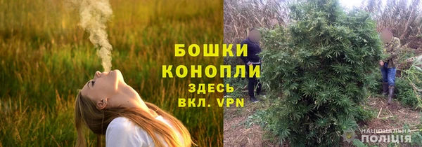 мет Новозыбков