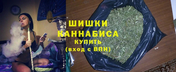 мет Новозыбков