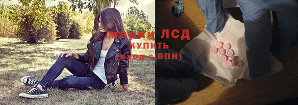 соль ск Новодвинск