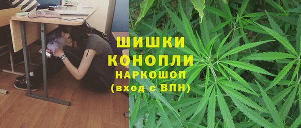 соль ск Новодвинск