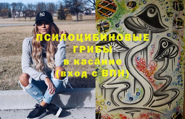 соль ск Новодвинск